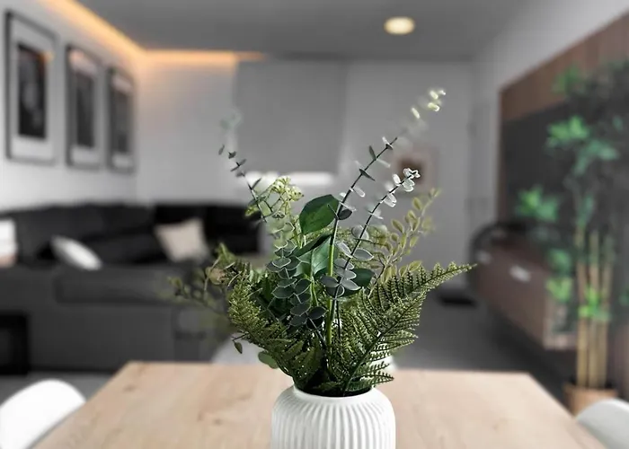 Tesoro Del Pirata 别墅