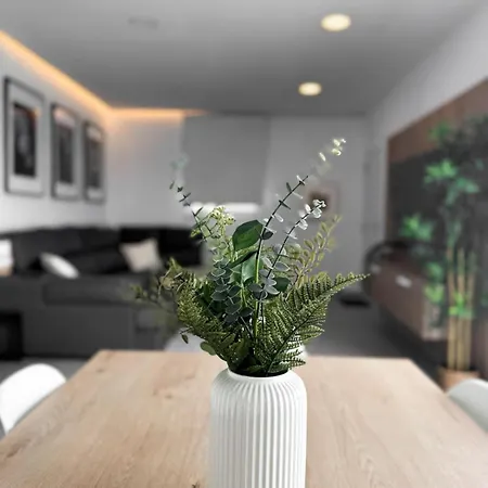 Tesoro Del Pirata Villa