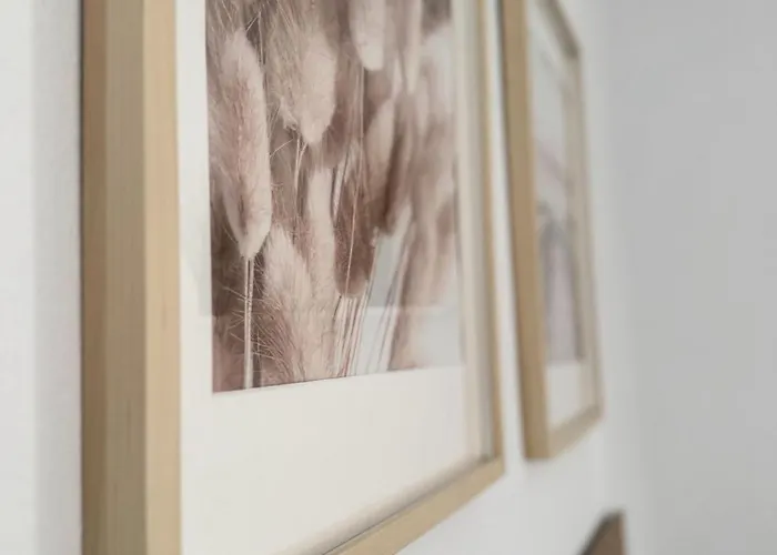 Villa Tesoro Del Pirata