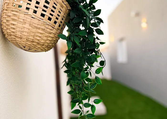 Tesoro Del Pirata Villa Conil De La Frontera